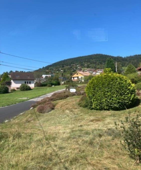 Les Deux Maisons - Little Green - Maison Cosy Proche Pistes Et Lac جوراردُميه المظهر الخارجي الصورة